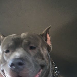 Meet your Posher, Moises